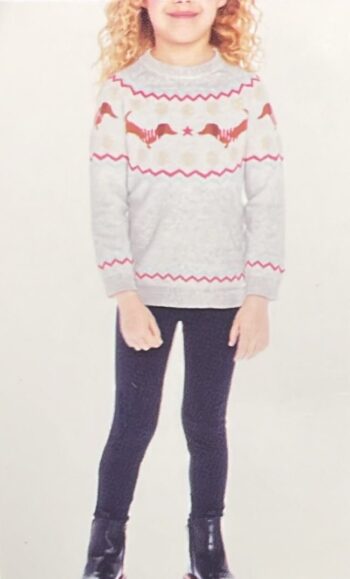 Andy and evan 2 piece set girls pants and sweatshirt