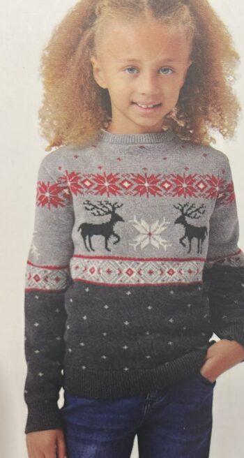 Chaps family holiday sweater long sleeve Christmas design