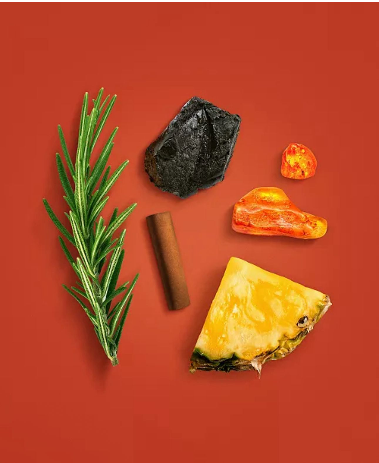 b0b34204-26b4-40aa-88f2-475ce5028950