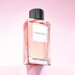 c04b717c-ed09-4348-b364-d714962c778e