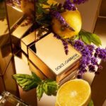 d380794f-f8a0-44dc-b973-d830623ca06d